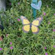 ヒメ日記 2025/07/11 16:12 投稿 高瀬 人妻楼 熊谷店