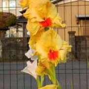 ヒメ日記 2025/07/14 20:41 投稿 高瀬 人妻楼 熊谷店