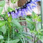 ヒメ日記 2025/07/14 20:57 投稿 高瀬 人妻楼 熊谷店