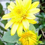 ヒメ日記 2025/07/16 16:47 投稿 高瀬 人妻楼 熊谷店