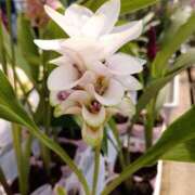 ヒメ日記 2025/08/20 17:01 投稿 高瀬 人妻楼 熊谷店