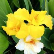 ヒメ日記 2025/08/24 09:32 投稿 高瀬 人妻楼 熊谷店