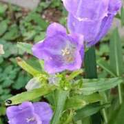 ヒメ日記 2025/08/25 20:54 投稿 高瀬 人妻楼 熊谷店