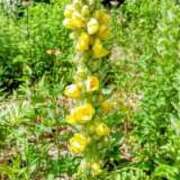 ヒメ日記 2025/08/26 19:33 投稿 高瀬 人妻楼 熊谷店