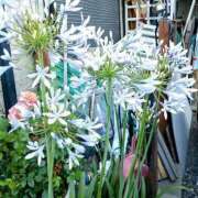 ヒメ日記 2025/08/27 20:57 投稿 高瀬 人妻楼 熊谷店