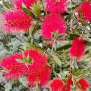 ヒメ日記 2025/08/29 15:52 投稿 高瀬 人妻楼 熊谷店