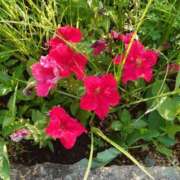 ヒメ日記 2025/09/01 20:06 投稿 高瀬 人妻楼 熊谷店