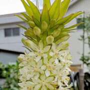 ヒメ日記 2025/09/02 17:27 投稿 高瀬 人妻楼 熊谷店