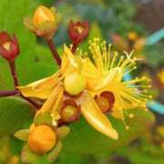 ヒメ日記 2025/09/02 17:46 投稿 高瀬 人妻楼 熊谷店