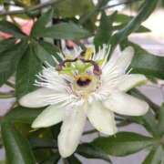 ヒメ日記 2025/09/03 18:10 投稿 高瀬 人妻楼 熊谷店