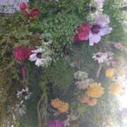 ヒメ日記 2025/09/08 16:10 投稿 高瀬 人妻楼 熊谷店