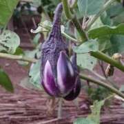 ヒメ日記 2025/09/08 16:29 投稿 高瀬 人妻楼 熊谷店