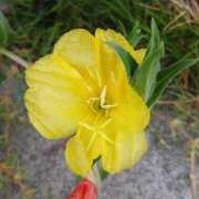 ヒメ日記 2025/09/10 16:27 投稿 高瀬 人妻楼 熊谷店