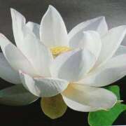 ヒメ日記 2025/09/12 20:45 投稿 高瀬 人妻楼 熊谷店