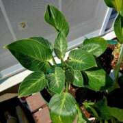 ヒメ日記 2025/09/18 17:33 投稿 高瀬 人妻楼 熊谷店