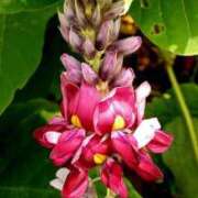 ヒメ日記 2025/09/23 18:17 投稿 高瀬 人妻楼 熊谷店