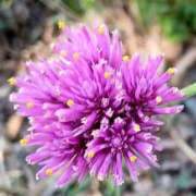 ヒメ日記 2025/09/24 18:10 投稿 高瀬 人妻楼 熊谷店