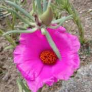 ヒメ日記 2025/10/01 17:59 投稿 高瀬 人妻楼 熊谷店