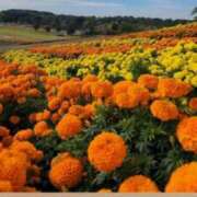 ヒメ日記 2025/10/05 07:34 投稿 高瀬 人妻楼 熊谷店