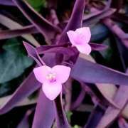 ヒメ日記 2025/10/06 20:08 投稿 高瀬 人妻楼 熊谷店