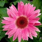 ヒメ日記 2025/10/07 18:23 投稿 高瀬 人妻楼 熊谷店