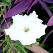 ヒメ日記 2025/10/07 20:05 投稿 高瀬 人妻楼 熊谷店