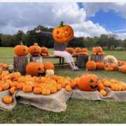 ヒメ日記 2025/10/10 16:59 投稿 高瀬 人妻楼 熊谷店