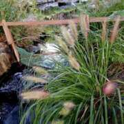 ヒメ日記 2025/10/12 11:51 投稿 高瀬 人妻楼 熊谷店