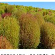 ヒメ日記 2025/10/17 18:28 投稿 高瀬 人妻楼 熊谷店