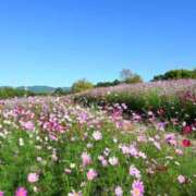 ヒメ日記 2025/10/17 18:44 投稿 高瀬 人妻楼 熊谷店