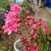 ヒメ日記 2025/10/19 11:48 投稿 高瀬 人妻楼 熊谷店