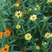 ヒメ日記 2025/10/19 15:22 投稿 高瀬 人妻楼 熊谷店