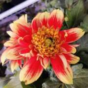 ヒメ日記 2025/10/24 20:43 投稿 高瀬 人妻楼 熊谷店