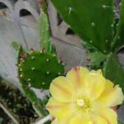 ヒメ日記 2025/10/28 16:07 投稿 高瀬 人妻楼 熊谷店