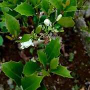 ヒメ日記 2025/11/01 18:46 投稿 高瀬 人妻楼 熊谷店