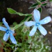 ヒメ日記 2025/11/02 14:26 投稿 高瀬 人妻楼 熊谷店