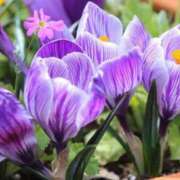 ヒメ日記 2025/11/07 14:06 投稿 高瀬 人妻楼 熊谷店