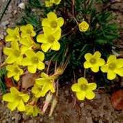 ヒメ日記 2025/11/12 12:15 投稿 高瀬 人妻楼 熊谷店