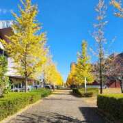 ヒメ日記 2025/11/19 18:43 投稿 高瀬 人妻楼 熊谷店