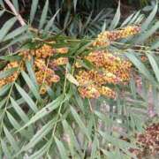 ヒメ日記 2025/11/21 19:02 投稿 高瀬 人妻楼 熊谷店