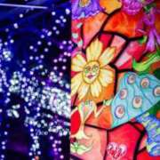 ヒメ日記 2025/12/10 16:33 投稿 高瀬 人妻楼 熊谷店