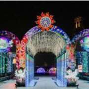 ヒメ日記 2025/12/11 08:59 投稿 高瀬 人妻楼 熊谷店