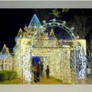 ヒメ日記 2025/12/20 09:46 投稿 高瀬 人妻楼 熊谷店