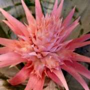 ヒメ日記 2025/12/28 10:14 投稿 高瀬 人妻楼 熊谷店