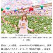 高瀬 お久しブリーフ🩲 人妻楼 熊谷店