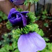 ヒメ日記 2026/01/21 20:27 投稿 高瀬 人妻楼 熊谷店