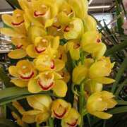 ヒメ日記 2026/01/27 07:22 投稿 高瀬 人妻楼 熊谷店