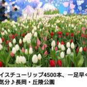 ヒメ日記 2026/02/09 18:06 投稿 高瀬 人妻楼 熊谷店