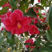 ヒメ日記 2026/02/10 16:57 投稿 高瀬 人妻楼 熊谷店