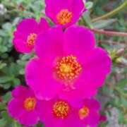 ヒメ日記 2026/02/12 18:24 投稿 高瀬 人妻楼 熊谷店